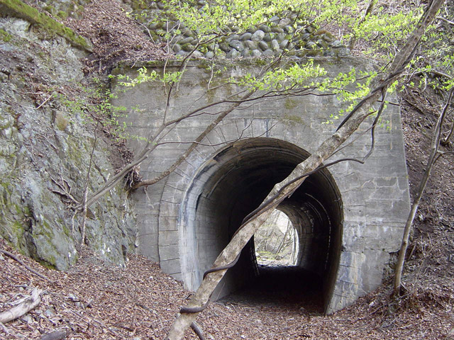 ����X�ѓS��,�ѓS,�p����,詓�,�g���l��,��m1��,�B��