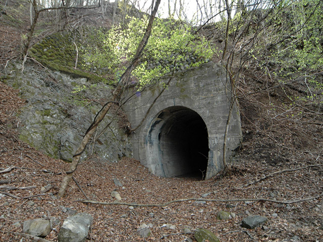 ����X�ѓS��,�ѓS,�p����,詓�,�g���l��,��m1��,�B��