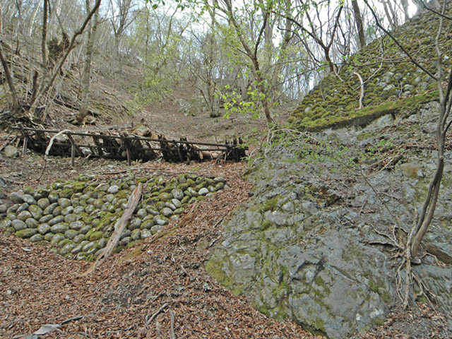 ����X�ѓS��,�ѓS,�p����,詓�,�g���l��,��m1��,���Β���