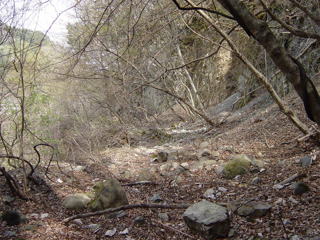 ����X�ѓS��,�ѓS,�p����,詓�,�g���l��,��m1��,���Β���