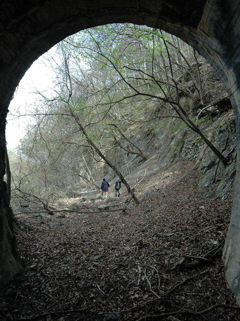 ����X�ѓS��,�ѓS,�p����,詓�,�g���l��,��m1��,����,�R���N���[�g