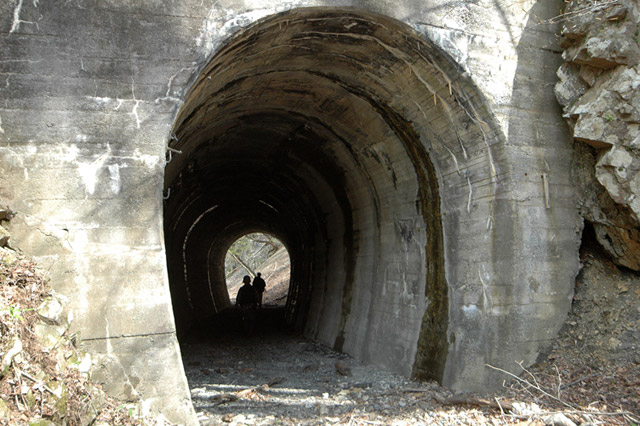 ����X�ѓS��,�ѓS,�p����,詓�,�g���l��,��m1��,���,�\����