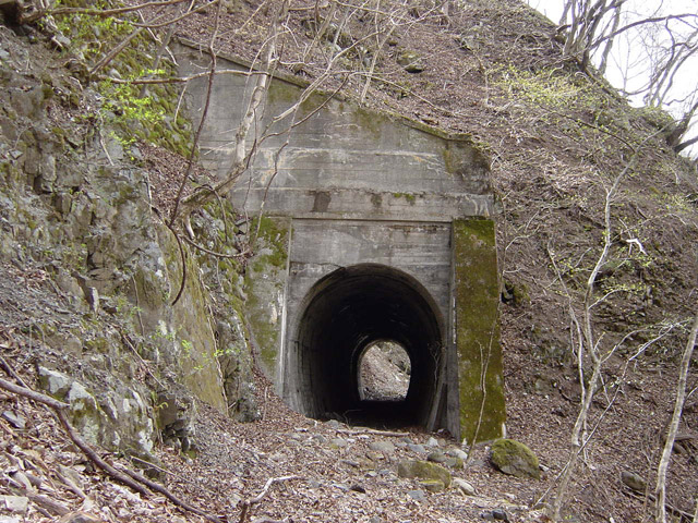 �ؑ]�X�ѓS�������,�ѓS,�p����,��܍�詓�,�g���l��,����