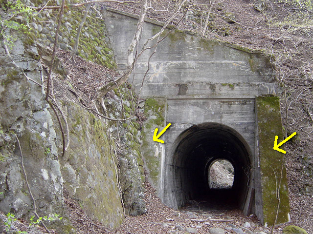 �ؑ]�X�ѓS�������,�ѓS,�p����,��܍�詓�,�g���l��,�B��