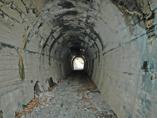 �ؑ]�X�ѓS�������,�ѓS,�p����,��܍�詓�,�g���l��,����