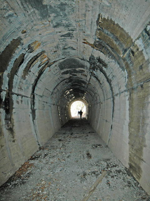 �ؑ]�X�ѓS�������,�ѓS,�p����,��܍�詓�,�g���l��,����