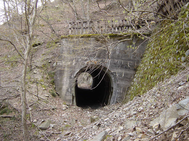 �ؑ]�X�ѓS�������,�ѓS,�p����,��5��詓�,�g���l��,���