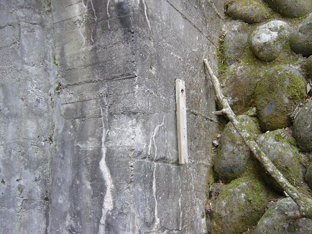 �ؑ]�X�ѓS�������,�ѓS,�p����,��5��詓�,�g���l��,�\����