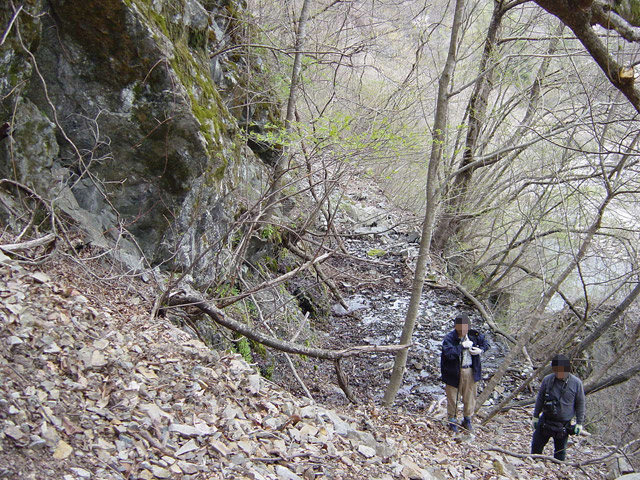 ����X�ѓS��,�ѓS,�p����,���[���P��,�ؑ]�X,�^�މݎ�