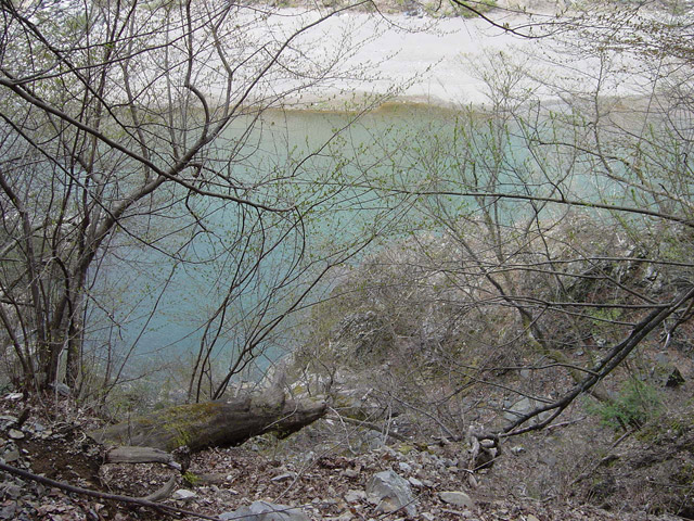 ����X�ѓS��,�ѓS,�p����,���[���P��,�ؑ]�X,�^�މݎ�