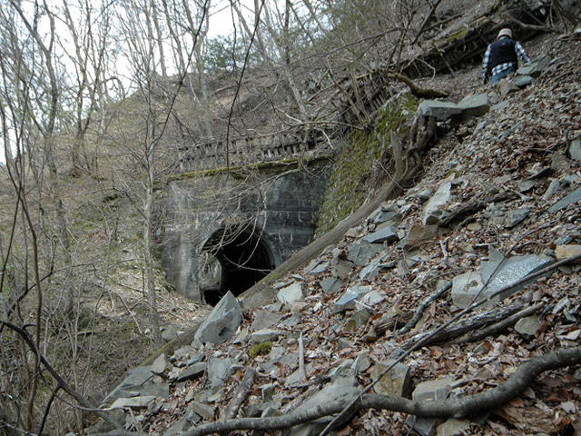 ����X�ѓS��,�ѓS,�p����,���[���P��,�ؑ]�X,�^�މݎ�