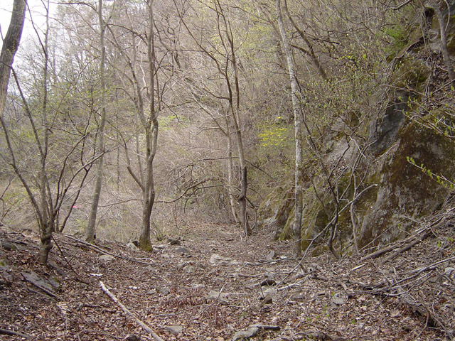 ����X�ѓS��,�ѓS,�p����,�؍މ^���O����,����,�ѓ�,�ؑ]��