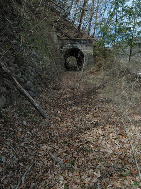 ����X�ѓS��,�ѓS,�p����,�؍މ^���O����,詓�,�g���l��,�ؑ]��