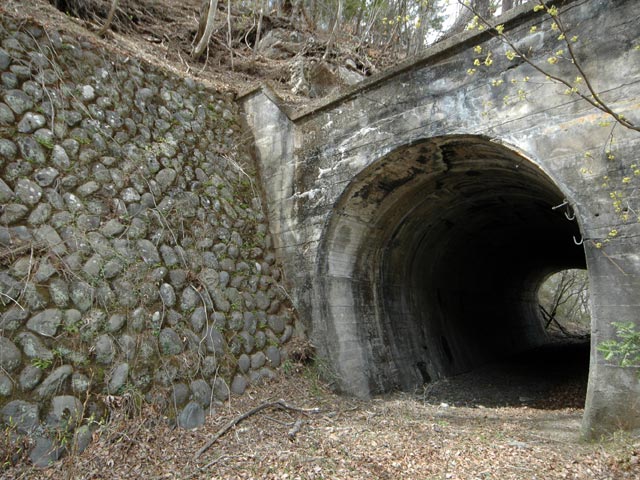 ����X�ѓS��,�ѓS,�p����,����,�p詓�,��Z���g���l��,�㏼�^�A�c�я�