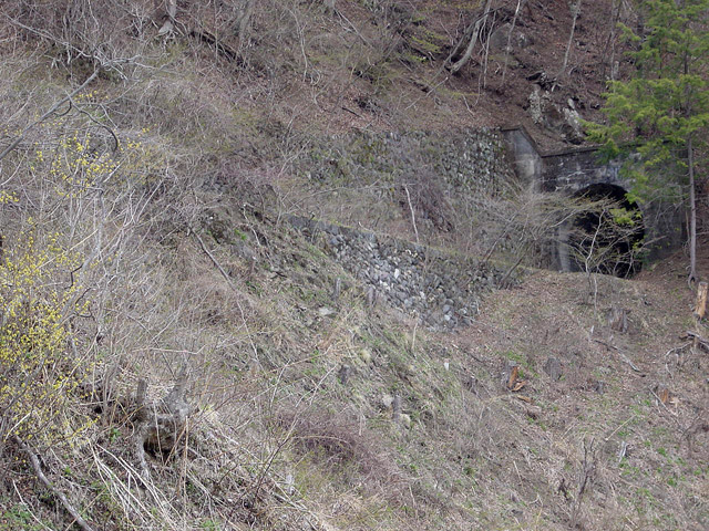 ����X�ѓS��,�ѓS,�p����,����,�p詓�,��Z���g���l��,�����y�̏�