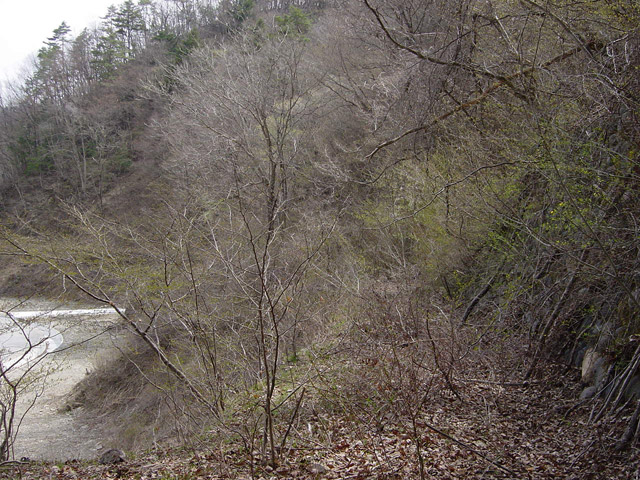 ����X�ѓS��,�ѓS,�p����,����,詓�,�g���l��,���O�x��,�O����