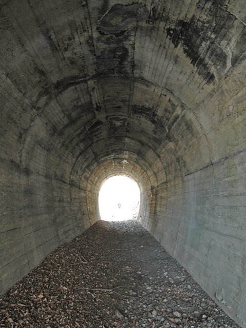 ����X�ѓS��,�ѓS,�p����,�؍މ^���O����,詓�,�g���l��,�㏼�^�A�c�я�