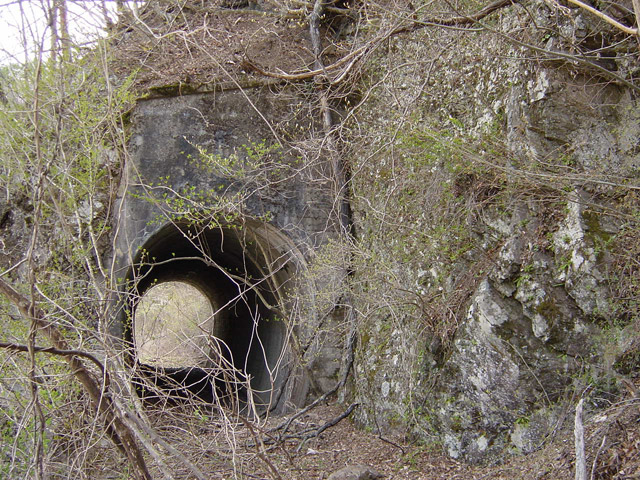 ����X�ѓS��,�ѓS,�p����,���,詓�,�g���l��,�ؑ]��