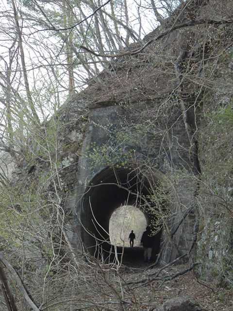 ����X�ѓS��,�ѓS,�p����,���,�p詓�,��6���g���l��,�ؑ]��