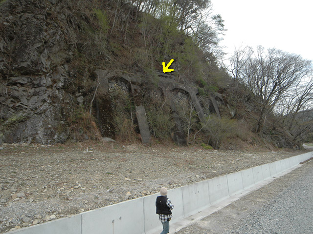 ����X�ѓS��,�ѓS,�p����,�O����,�ؑ]���O�x,�����y�̏�,�@��