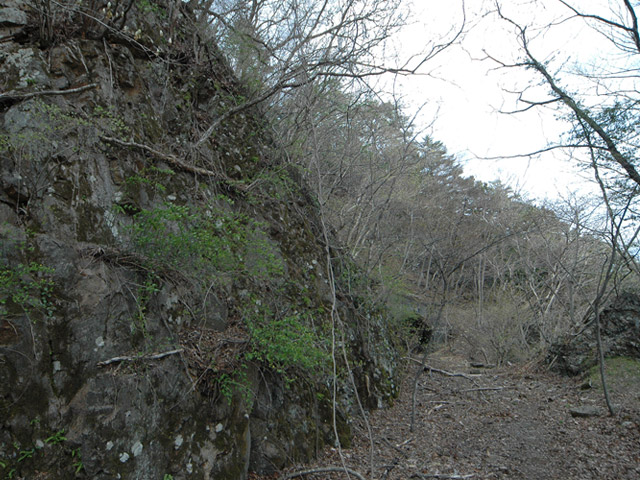 ����X�ѓS��,�ѓS,�p����,�O����,�ؑ]���O�x,����,�H��