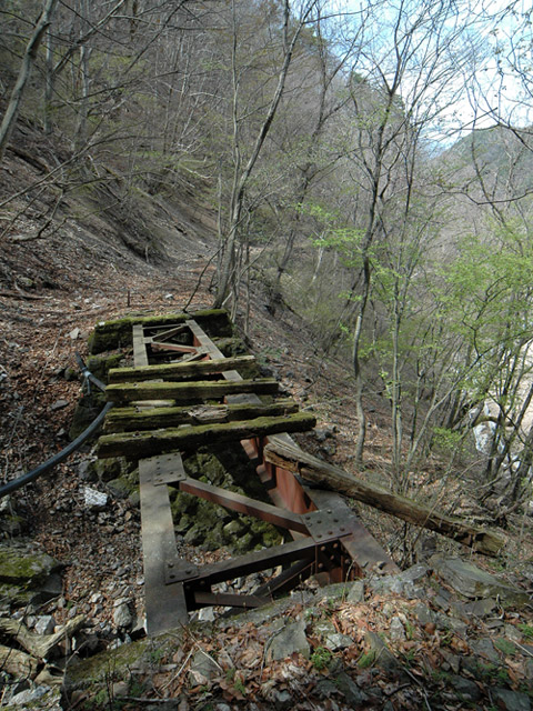 ����X�ѓS��,�ѓS,�p����,�ؑ]�X,���򋴗�,�K�[�_�[��,�㏼�^�A�c�я�