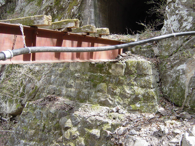 ����X�ѓS��,�ѓS,�p����,�ؑ]��,���򋴗�,�H����,����