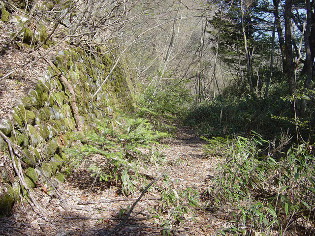 ����X�ѓS��,�ѓS,�p����,�ؑ],����,�H��,����,�Ί_