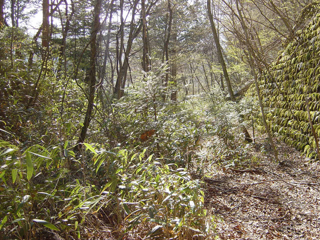 ����X�ѓS��,�ѓS,�p����,����,����,�H��,����,�Ί_