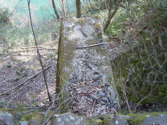 ����X�ѓS��,�ѓS,�p����,����,�؋�,�s�A,�i���[�O��,��{�P�򋴗�