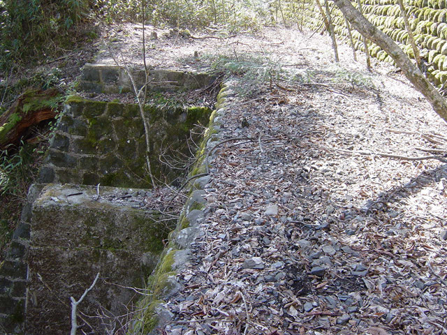 ����X�ѓS��,�ѓS,�p����,����,����,�s�A,�i���[�O��,��{�P�򋴗�