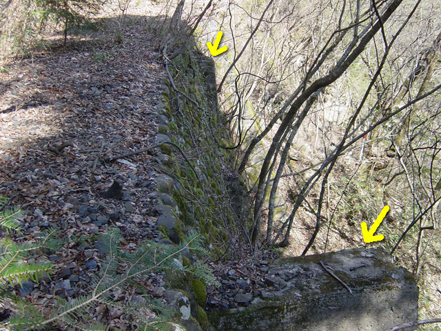 ����X�ѓS��,�ѓS,�p����,����,�t���ւ�,�s�A,�i���[�O��,��{�P�򋴗�