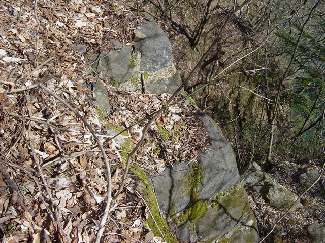 ����X�ѓS��,�ѓS,�p����,����,�t���ւ�,����,�i���[�O��,��{�P�򋴗�