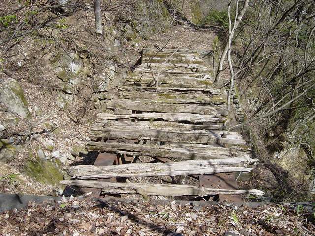 ����X�ѓS��,�ѓS,�p����,��{�P�򋴗�,����,�S��,�K�[�_�[��,�V��