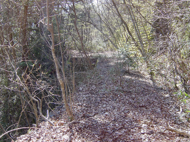 �ؑ]�X�ѓS�������,�ѓS,�p����,��{�P�򋴗�,�i���[�O��,�K�[�_�[��,�S��