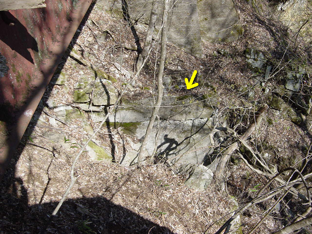 ����X�ѓS��,�ѓS,�p����,��{�P�򋴗�,�t���ւ�,�؋��s�A,����,�V��