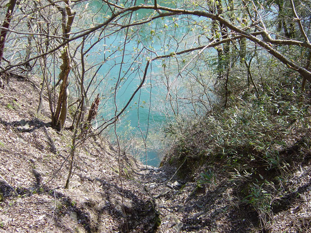 ����X�ѓS��,�ѓS,�p����,��{�P���V��,��Ճ_����,�؋��s�A,�����,�O����