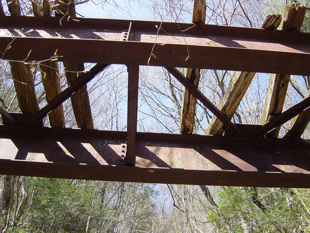 ����X�ѓS��,�ѓS,�p����,��{�P���V��,�K�[�_�[��,�؋��s�A,�V��,�O����