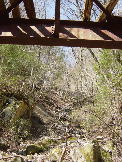 ����X�ѓS��,�ѓS,�p����,��{�P���V��,�K�[�_�[��,�؋��s�A,�V��,�O����