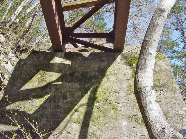 ����X�ѓS��,�ѓS,�p����,��{�P�򋴗�,�K�[�_�[��,����,�V��,�O����