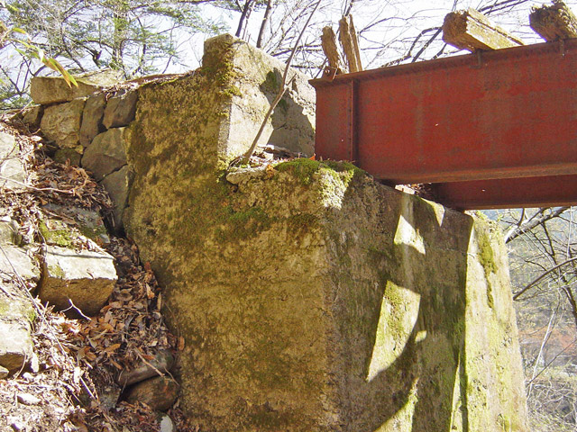 ����X�ѓS��,�ѓS,�p����,��{�P�򋴗�,�K�[�_�[��,����,�����s�A,�O����