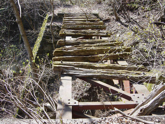 ����X�ѓS��,�ѓS,�p����,��{�P�򋴗�,�K�[�_�[��,�S��,����,�O����