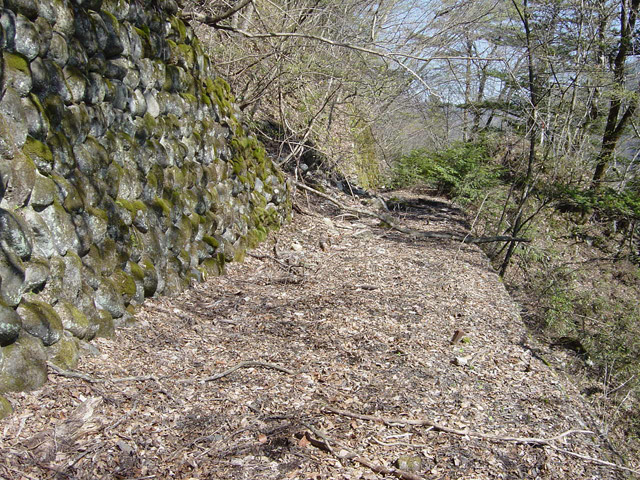 �ؑ]�X�ѓS�������,�ѓS,�p����,�Ί_,�i��,����,�؍މ^���O����