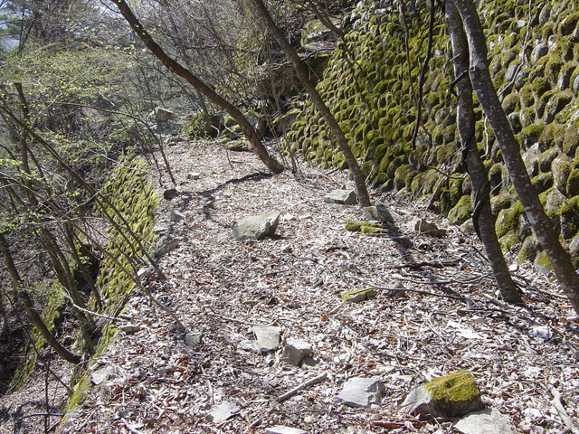 �ؑ]�X�ѓS�������,�ѓS,�p����,�㏼�^�A�c�я�,�i���[�O��,�Ί_,�ѓ�