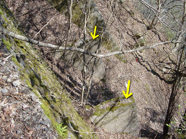 �ؑ]�X�ѓS�������,�ѓS,�p����,��������,�z�P�m�≺�V��,�؋��s�A,�i���[�O��