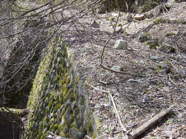 �ؑ]�X�ѓS�������,�ѓS,�p����,��������,�z�P�m�≺�V��,�V��,�i���[�O��