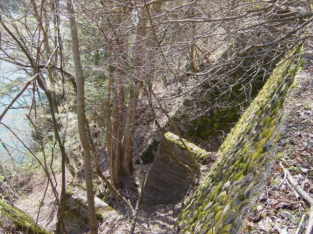 �ؑ]�X�ѓS�������,�ѓS,�p����,��������,�z�P�m�≺�V��,�ؐ��g���X,�i���[�O��