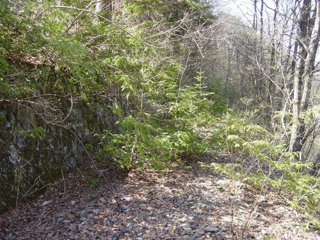 ����X�ѓS��,�ѓS,�p����,�i���[�O����,�V��,�y�؋O��,�ѓ�