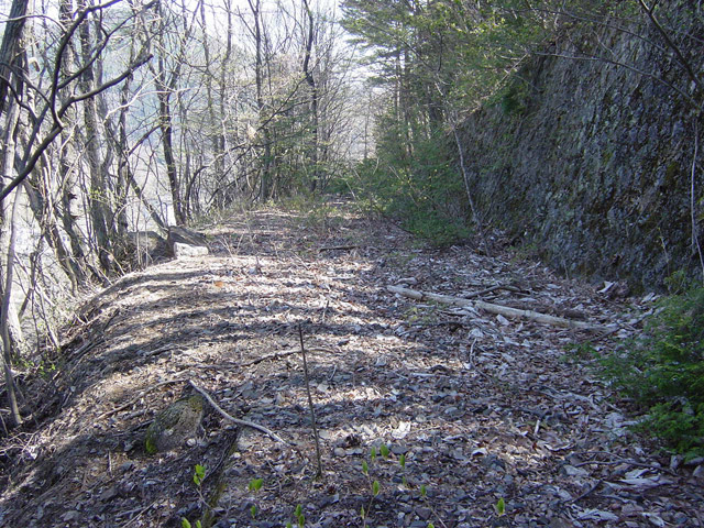 ����X�ѓS��,�ѓS,�p����,�O����,�V��,�H��,����