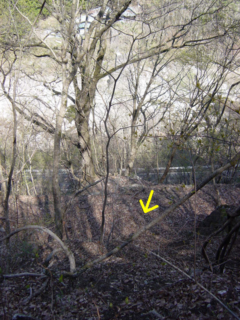 ����X�ѓS��,�ѓS,�p����,�؍މ^���O����,����,�����,���i